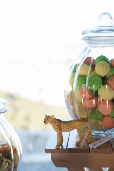 Baby zoo theme candy bar vases with marshmallows and dried fruit.
