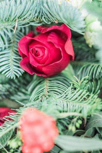 A red rose from a flower arrangement.