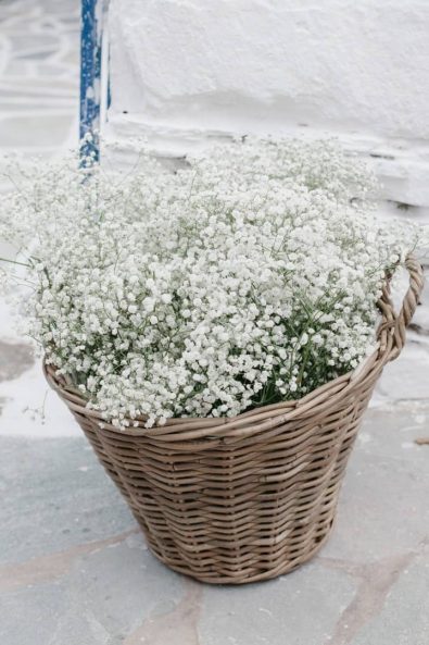 Basket with white baby's breath flowers.