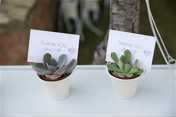 Cactus wedding favours