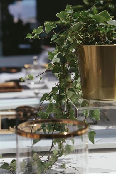 Cascading vine in a golden plant pot.