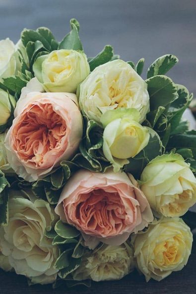 Spring bridal bouquet with peach and white English roses and leaves.