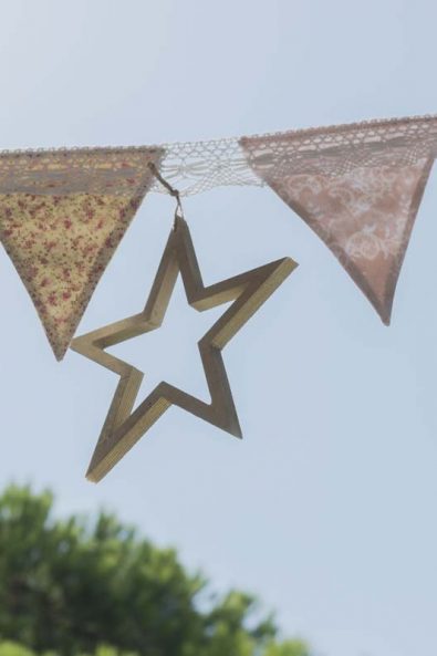 Party decoration with flags vector and star.
