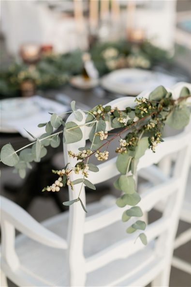olive branch on white chair